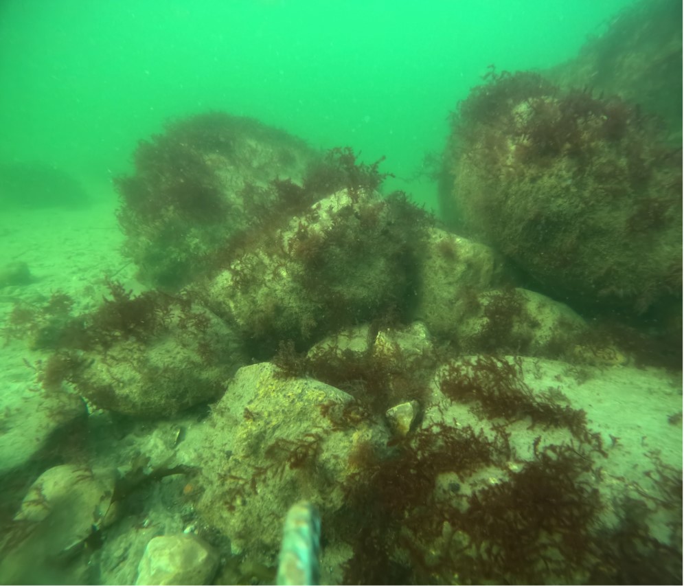 Egmont Revet, oktober23, 1.jpg